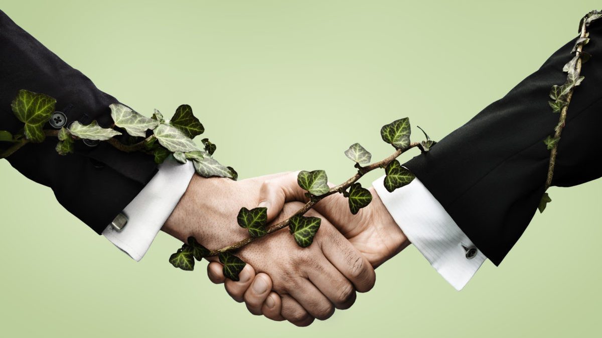 fortescue metals green energy