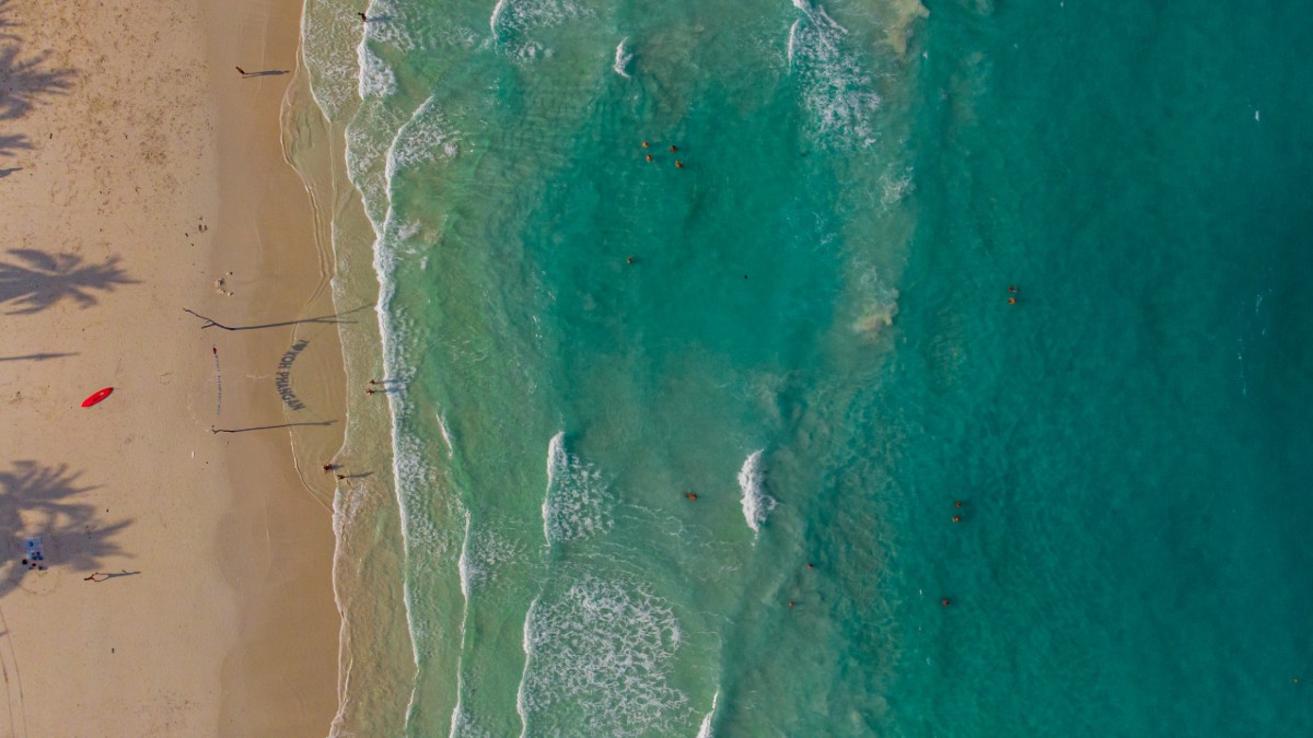 Wellnex Life asx wnx