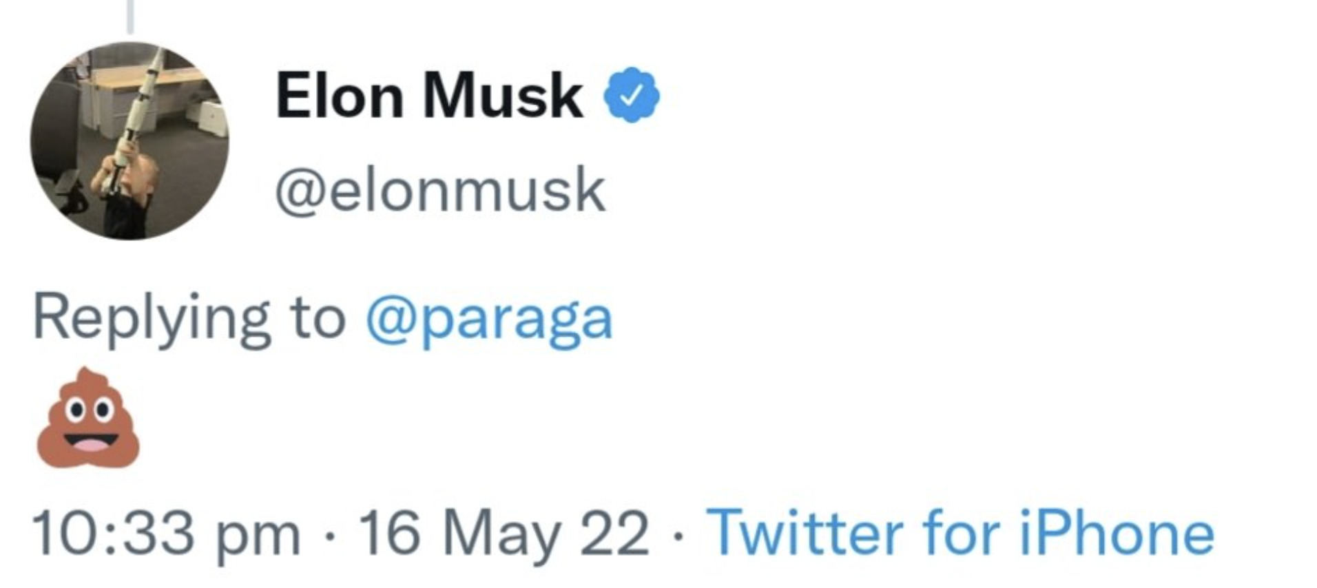 Musk twitter