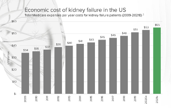 dimerix asx:dxb kidney