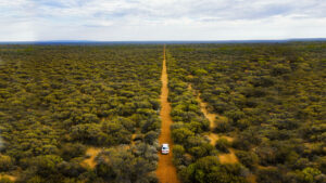 Kingfisher Mining asx kfm