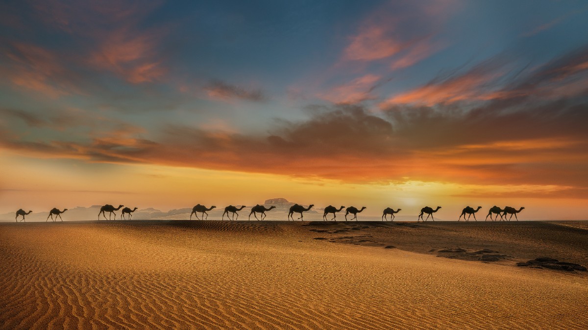 saudi arabia mining
