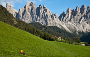 The Secret Broker: 2023 – the year to cut down some tall poppies… but not your neighbour’s grass