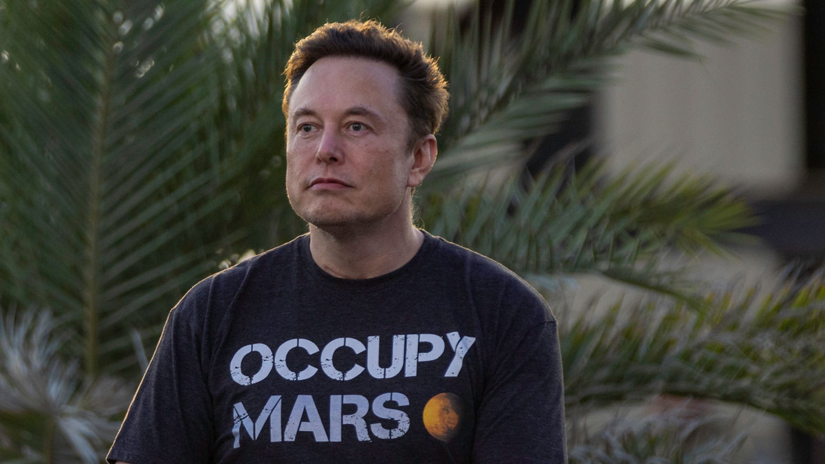 elon musk twitter ceo