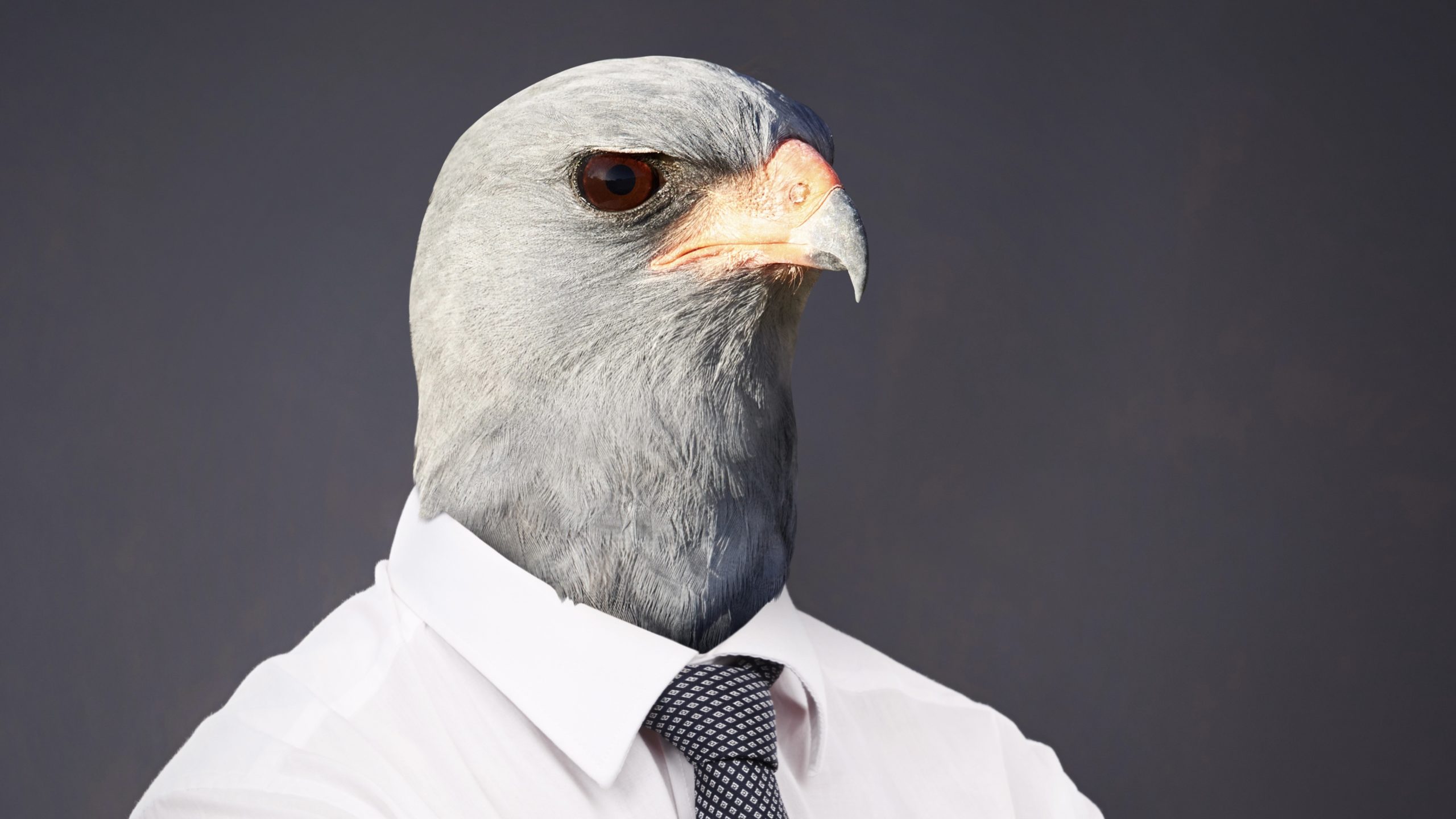 Hawkish Fed