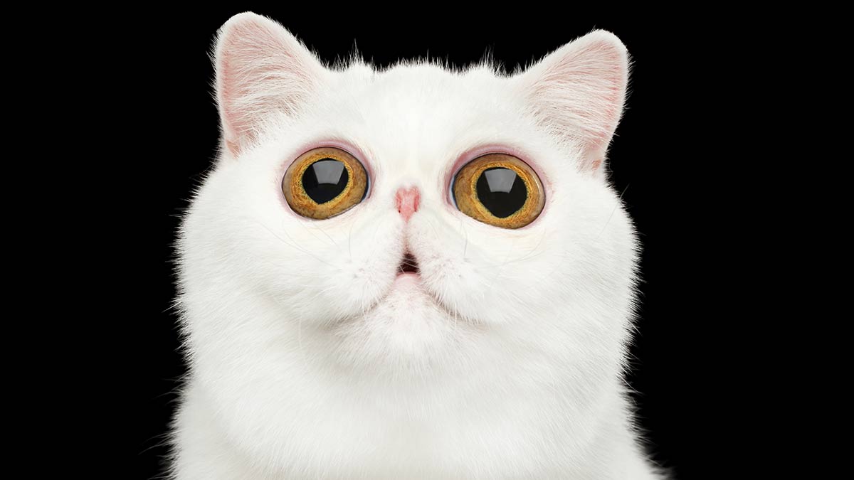 The Secret Broker: Staring into the future of 2023. Who’s going to blink first?
