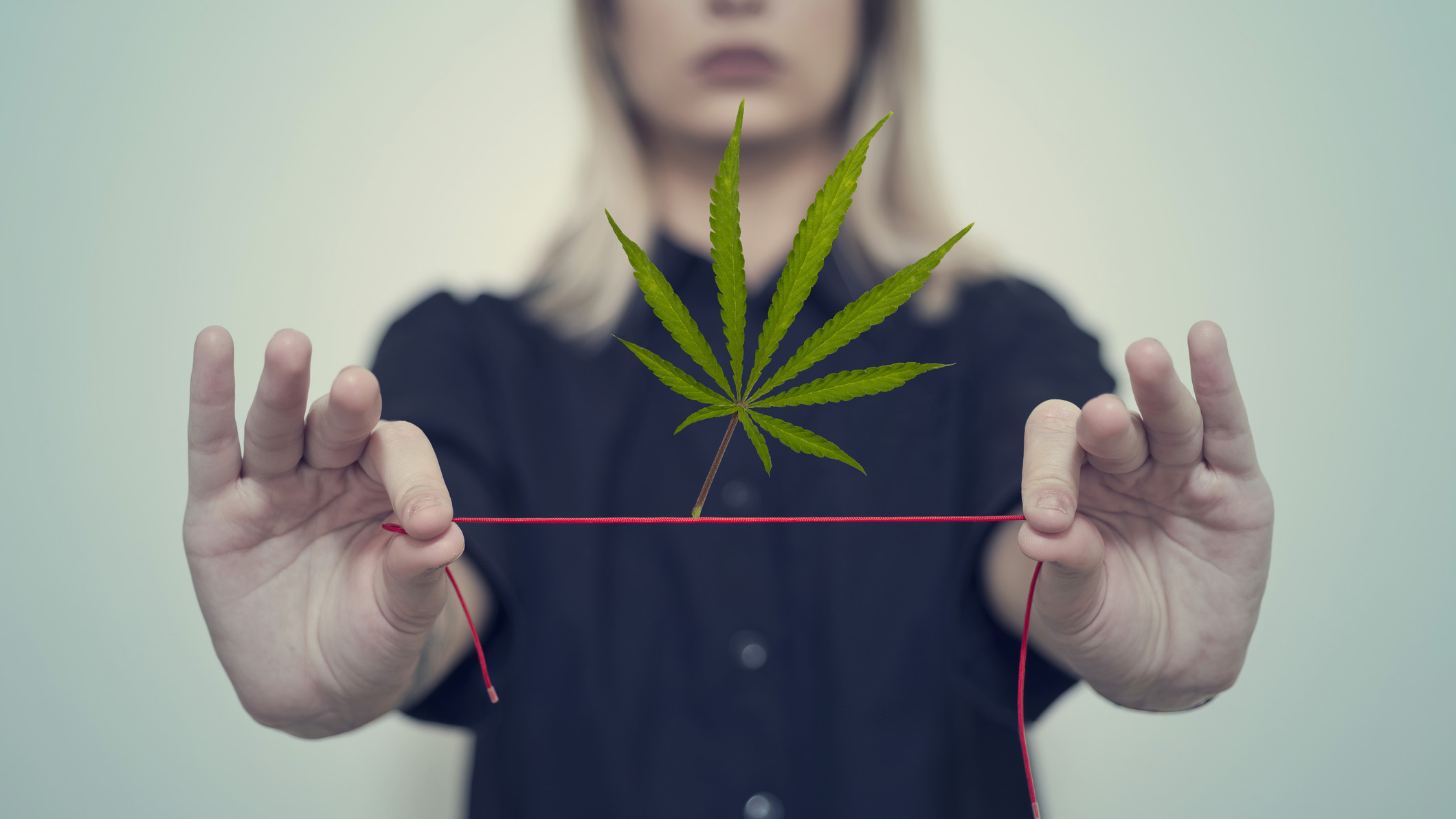 ASX Weed stocks BOD