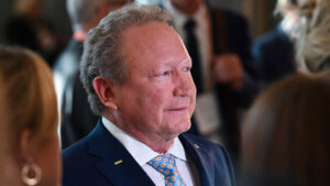 Andrew Forrest nickel Mincor