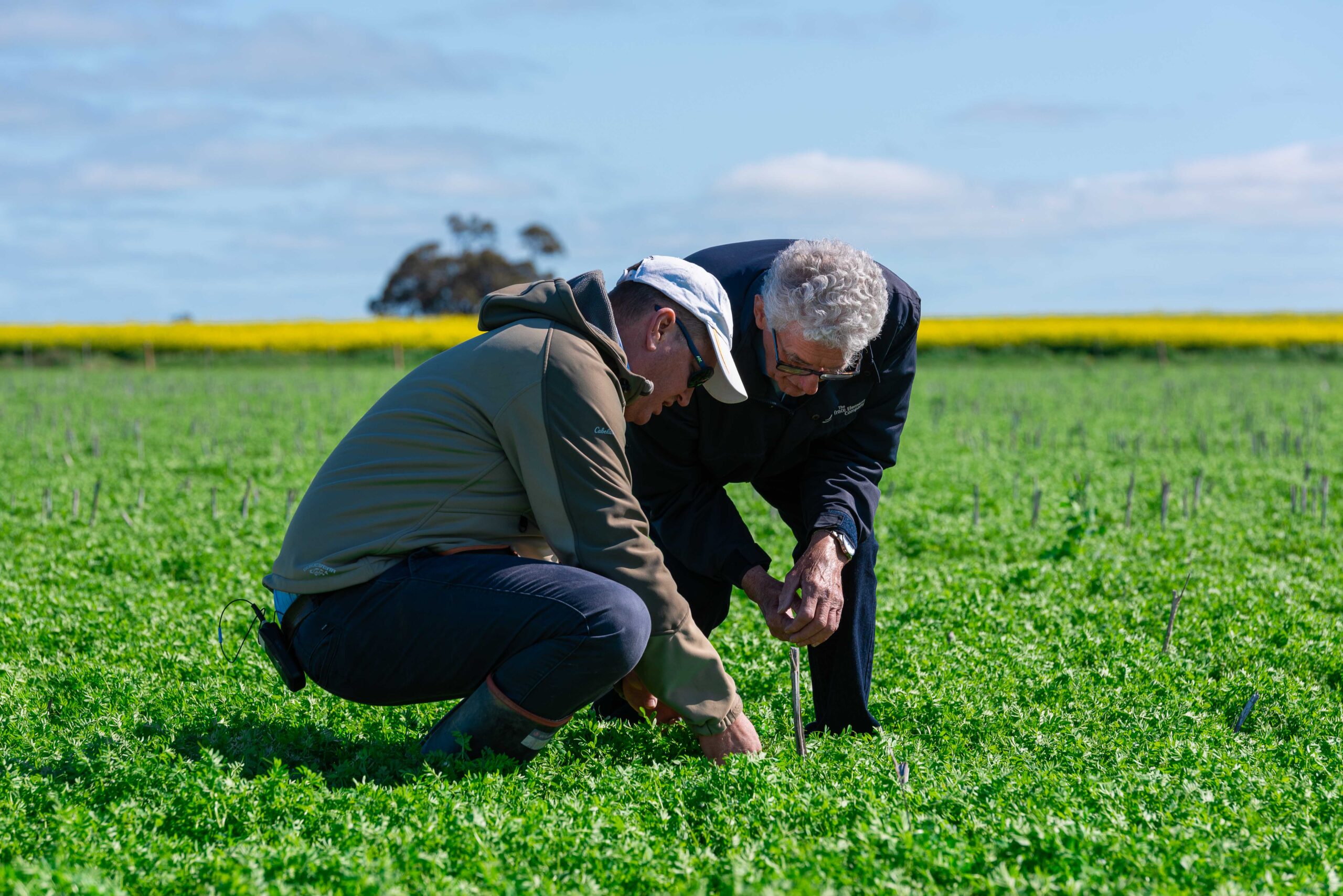 RLF AgTech