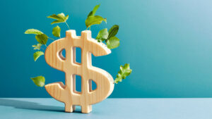 Paycepaid