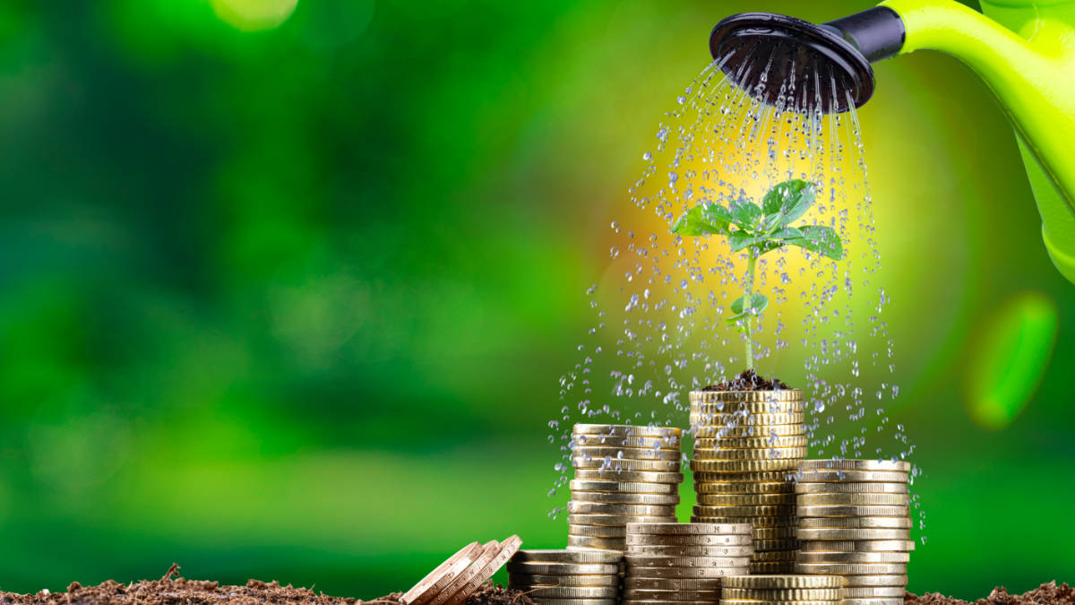 MoneyTalks: Winchester’s three sustainability stock picks in the EV, water management and machinery refurbishment space