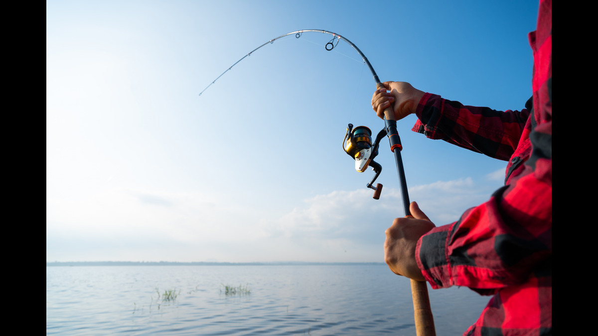 Eye on Lithium: Plenty of fish swimming in James Bay as lithium spot prices rise 3%