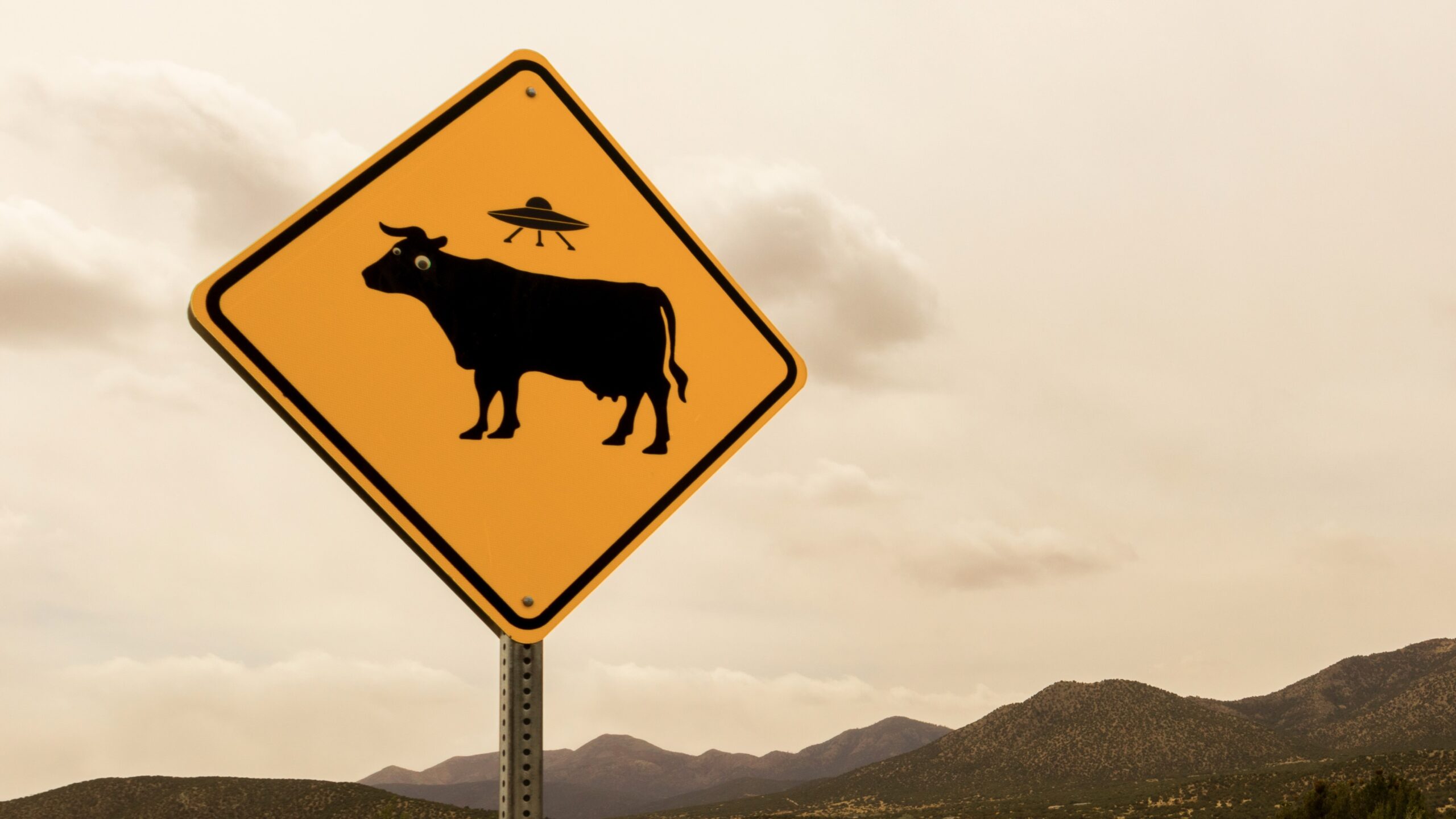 Bitcoin bulls