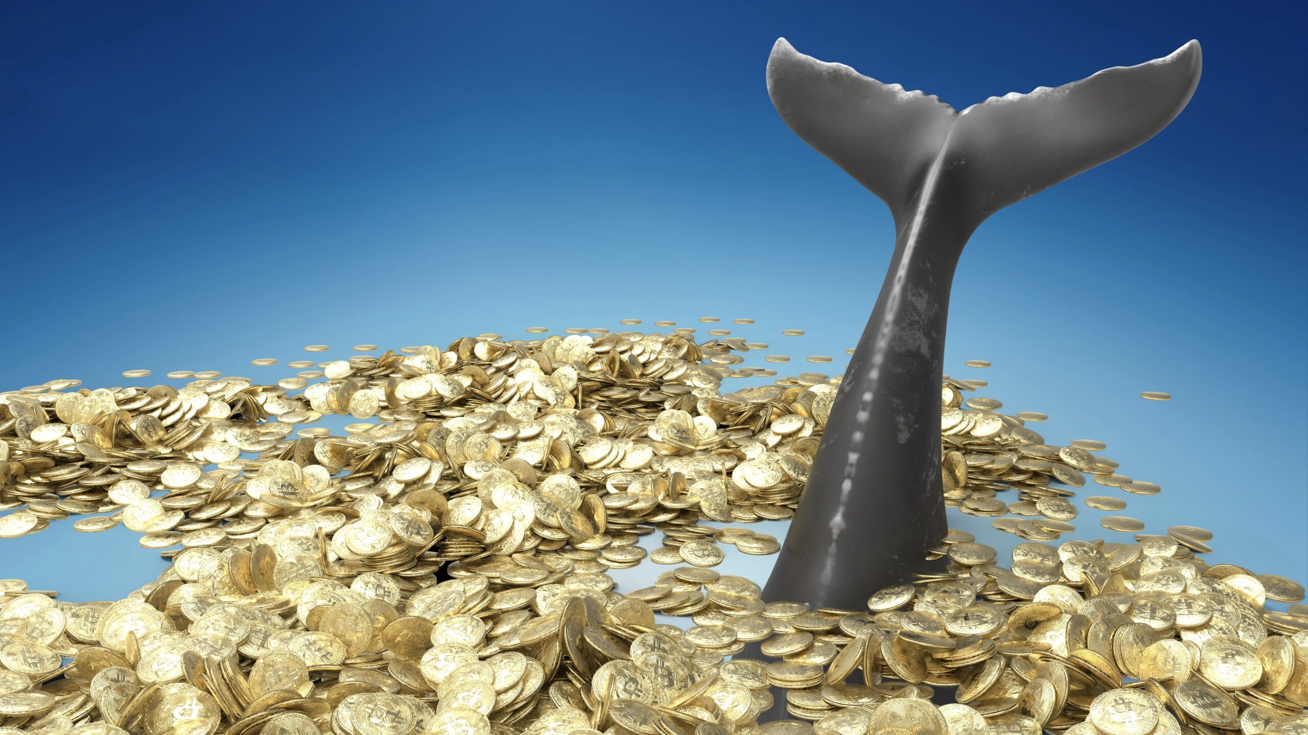 crypto whales