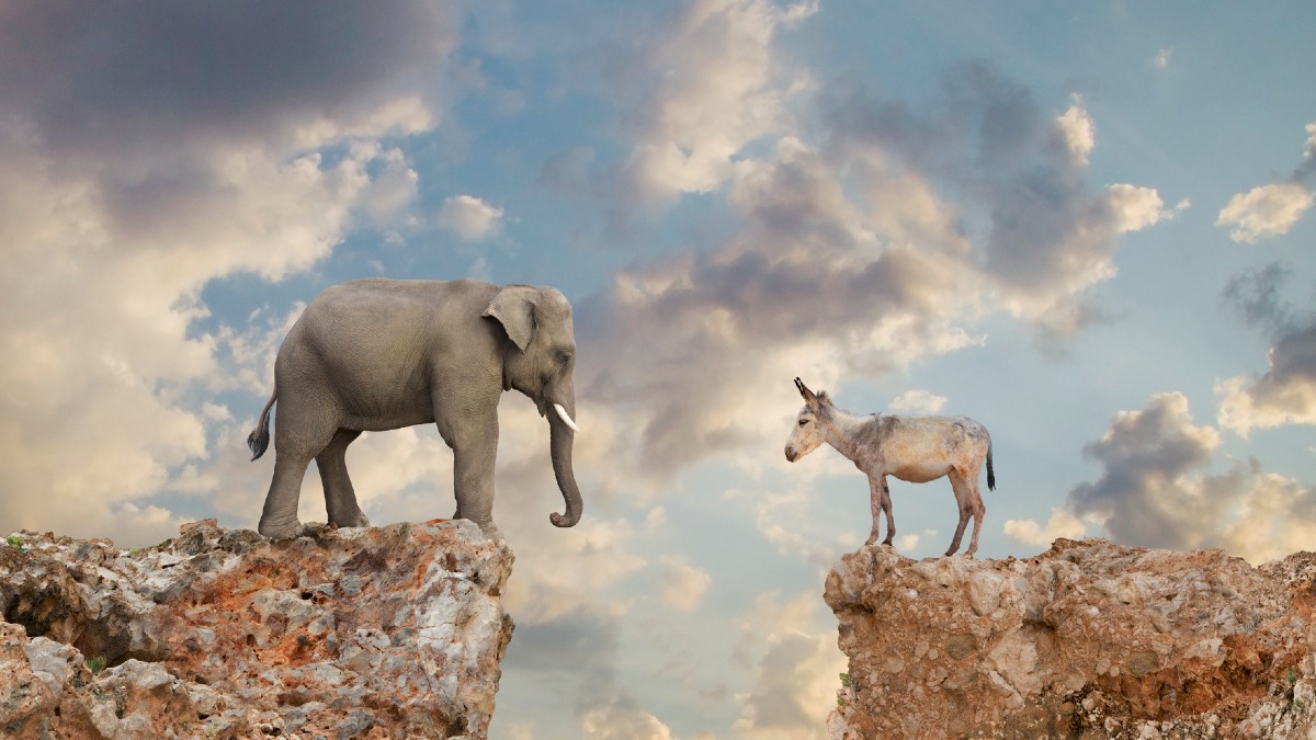 asx news this week