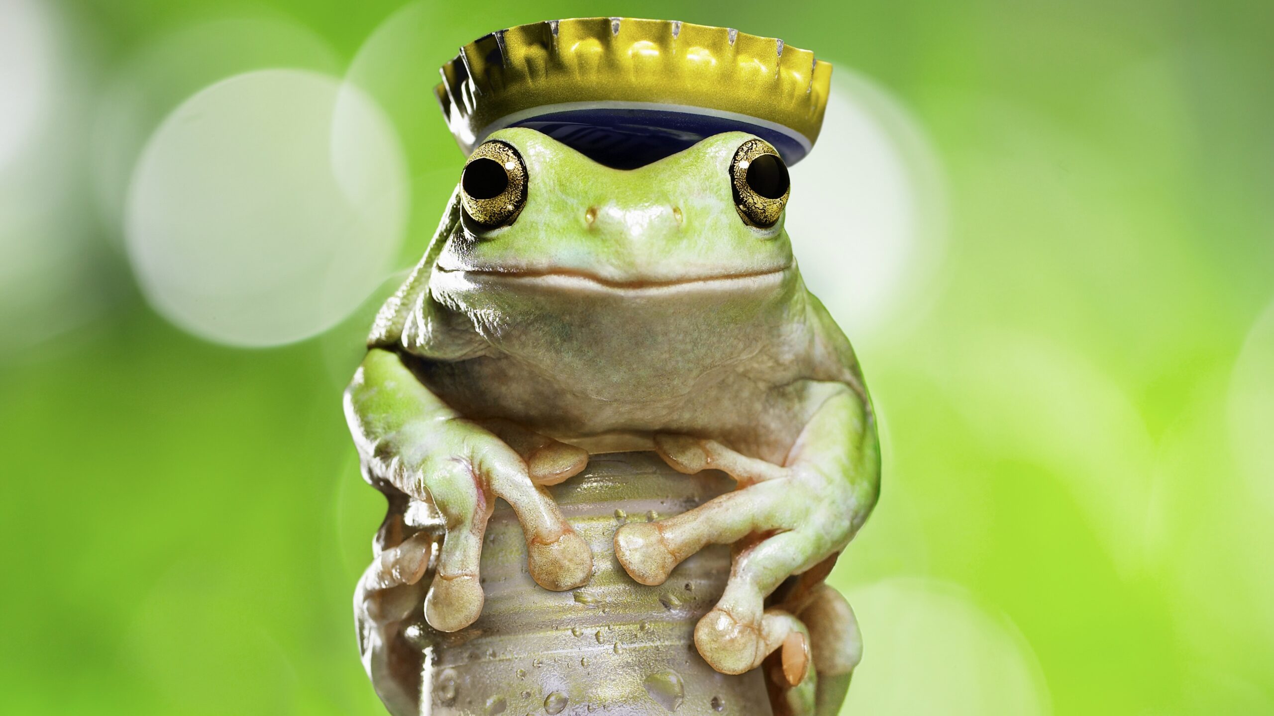 pepe coin frog