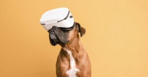 metaverse apple headset