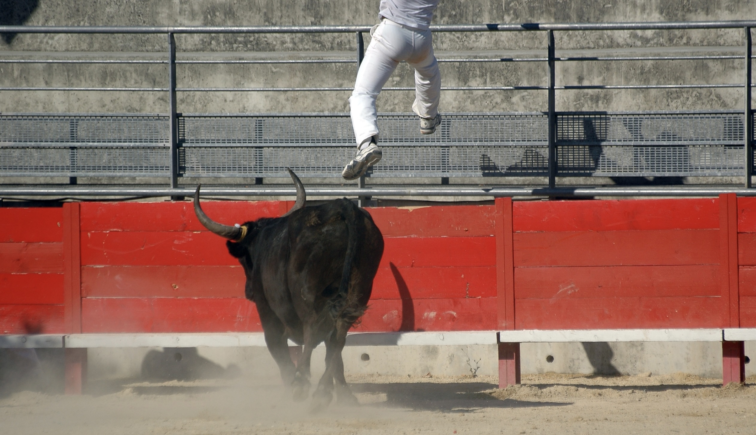 bitcoin btc price