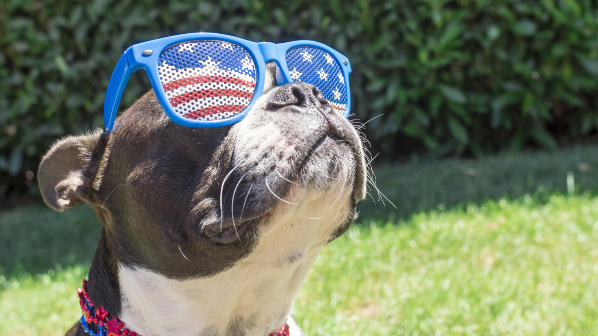 Patriot