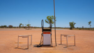 asx winner 1CG