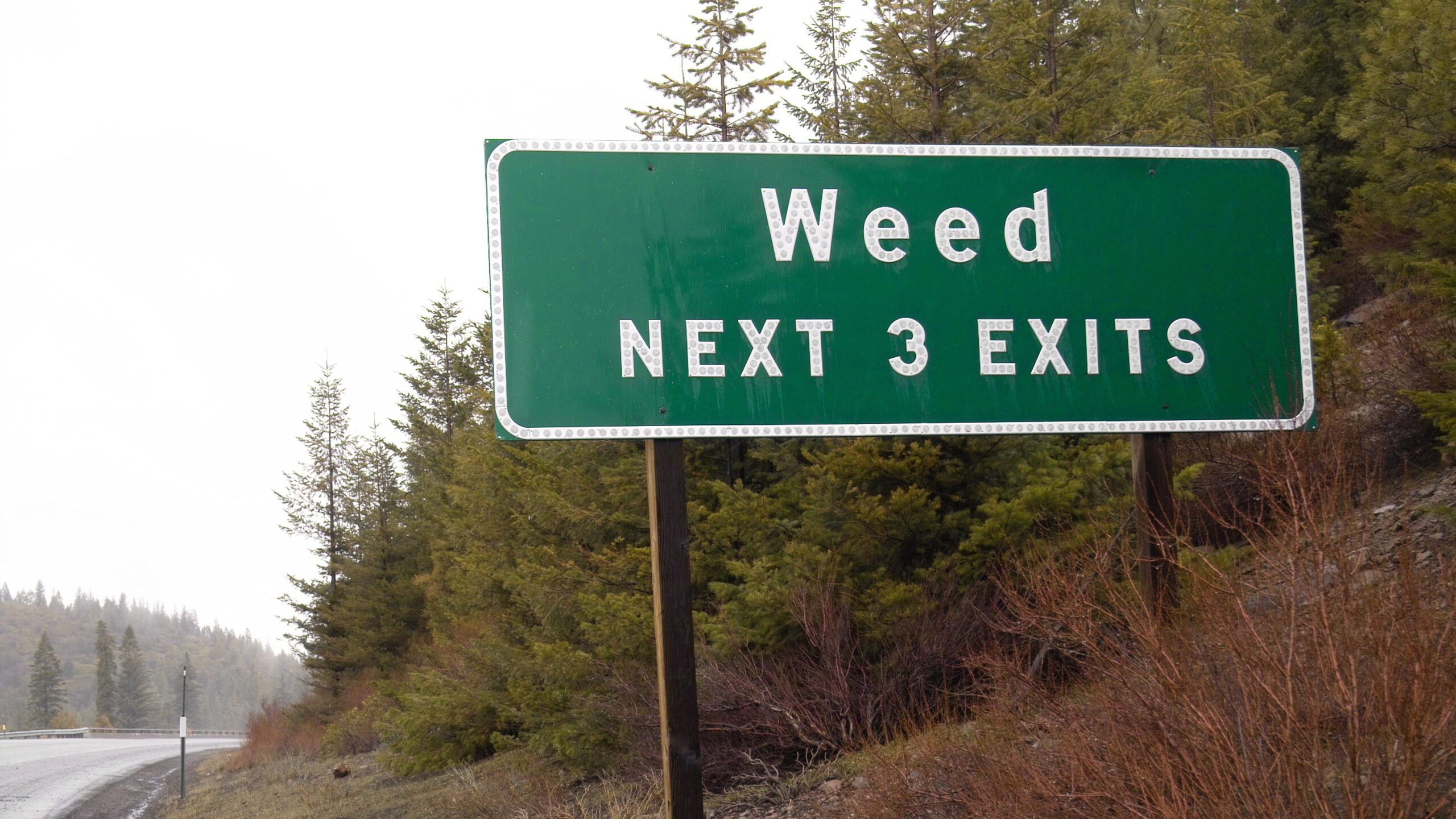 asx cannabis stock