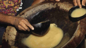 fiji kava