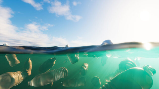 ocean bioplastics
