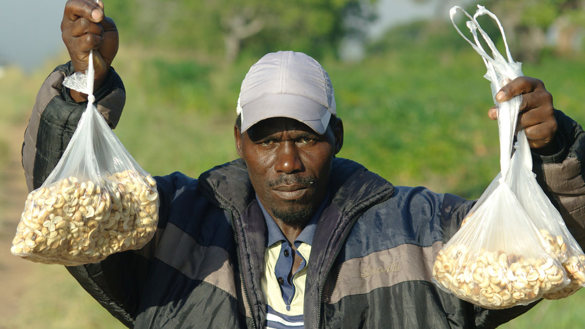 west africa gold asx