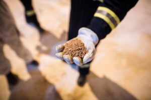 South Harz Potash asx shp