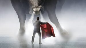 crypto bull run