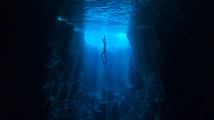 Lycaon Resources (ASX:LYN)