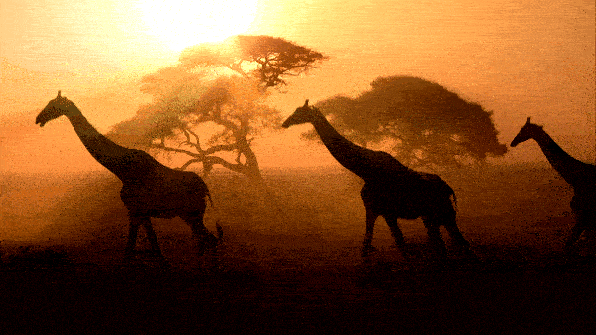 asx africa bte stocks energy