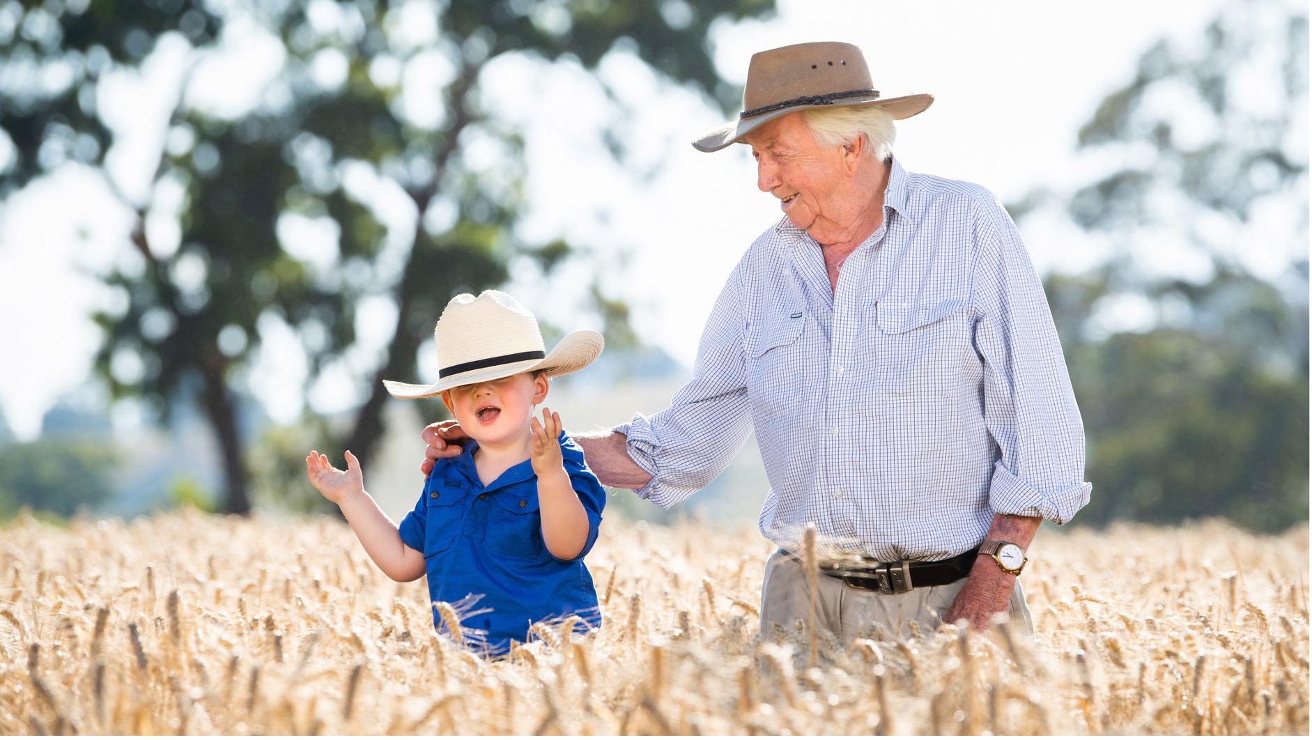 RLF agtech ASX RLF Crops