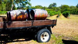 margaret river shiraz