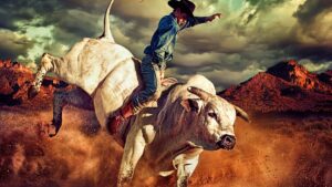 FREE WHELAN: Bullish USA