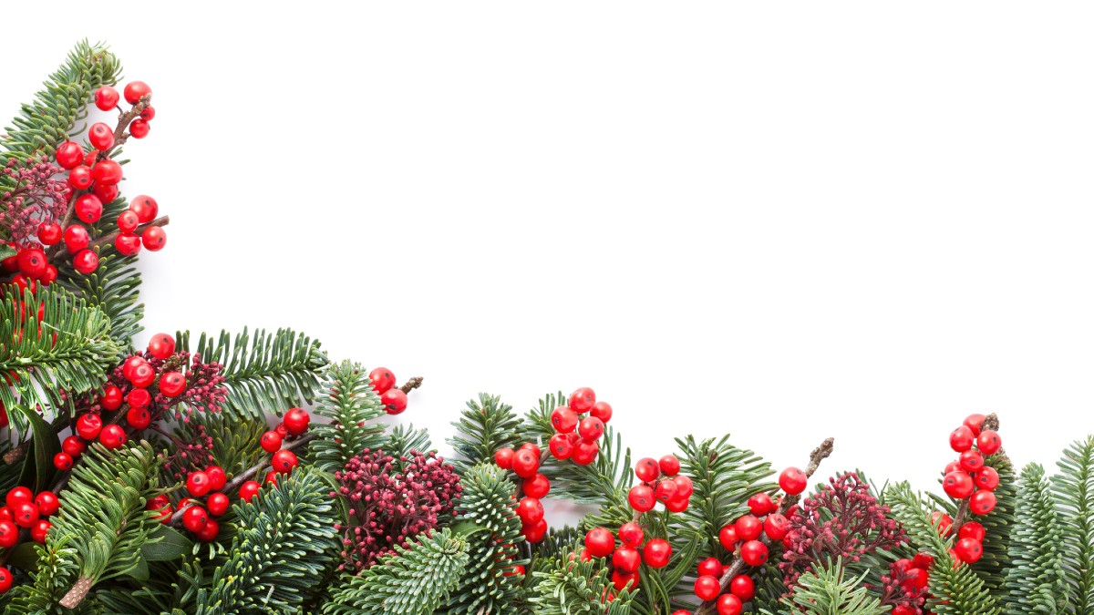 Closing Bell Xmas Hits! Oh Kairos REE; Culpeo the visible copper nosed miner; And It’s starting to look a lot like a Xmas rally