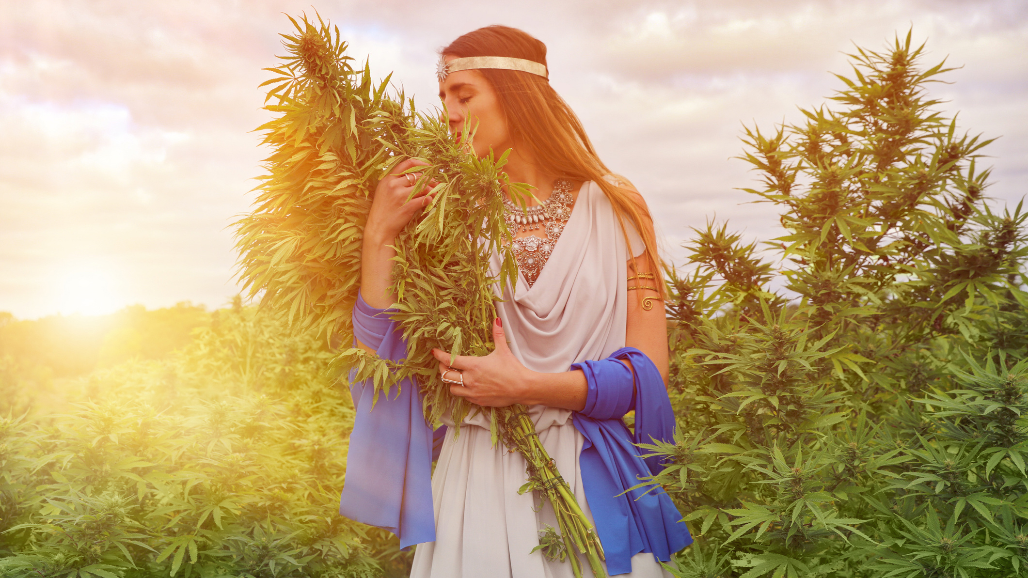 ASX cannabis ECS