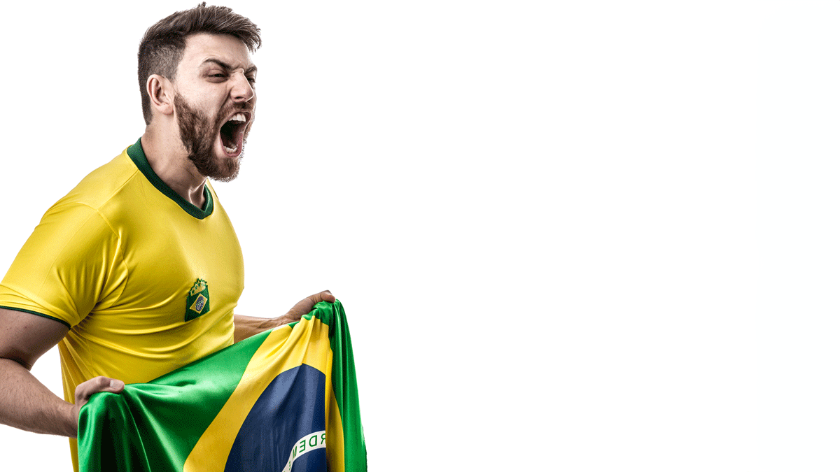 PLN Brazil rare earths