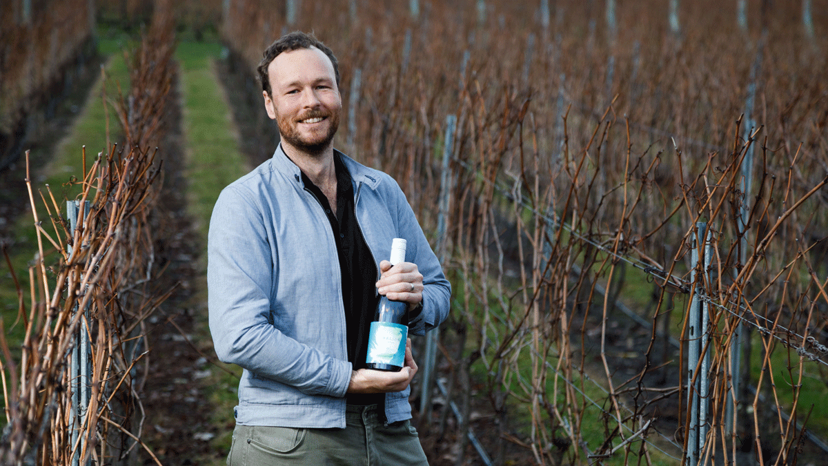 Here’s a dozen reasons to smash a grenache