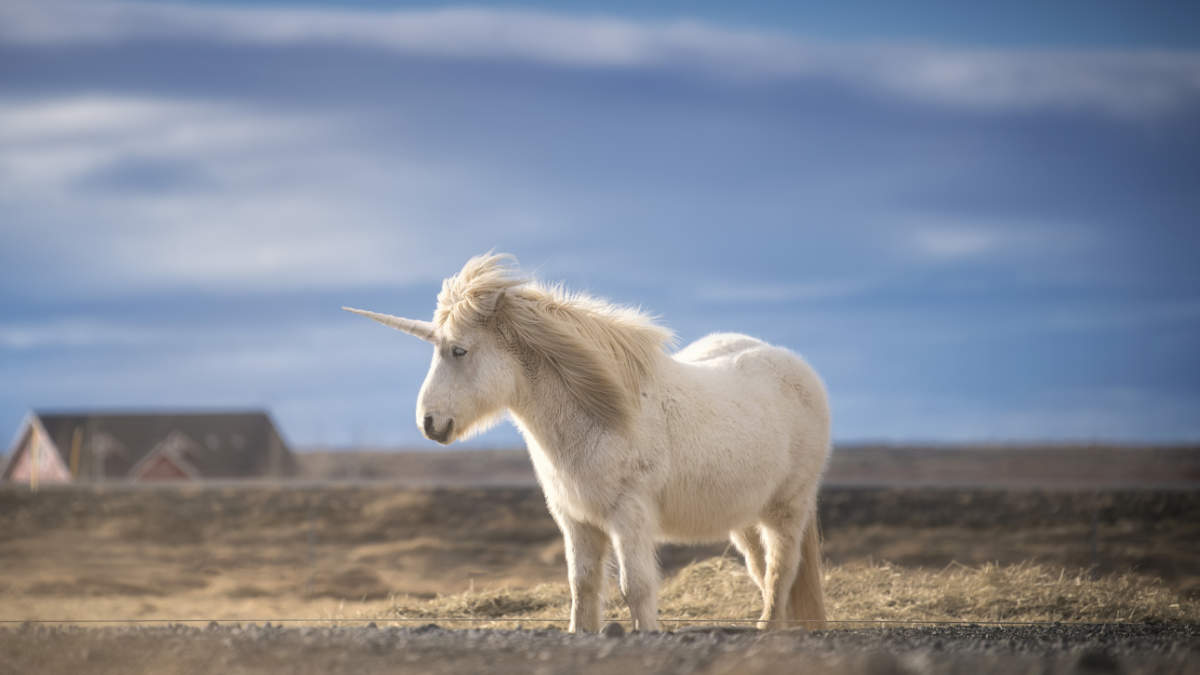 Meteoric’s Caldeira is a true rare earths unicorn