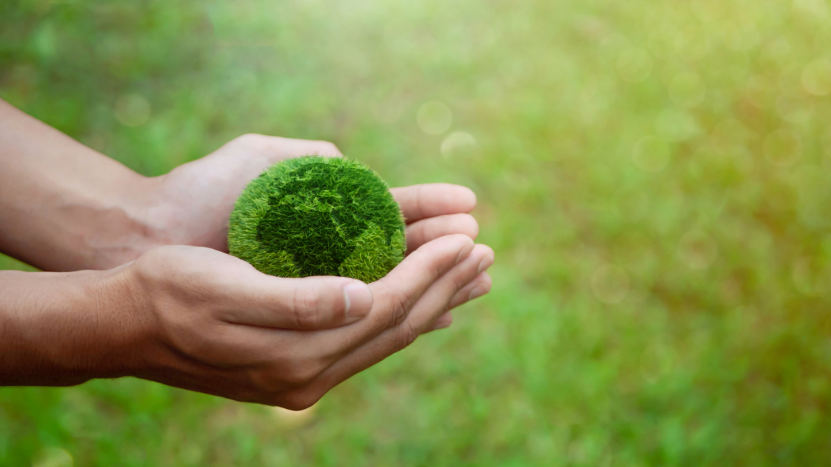 ASX decarbonisation