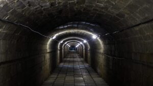 secret cellar wine