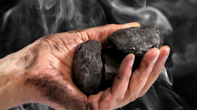 New Hope coal 2024