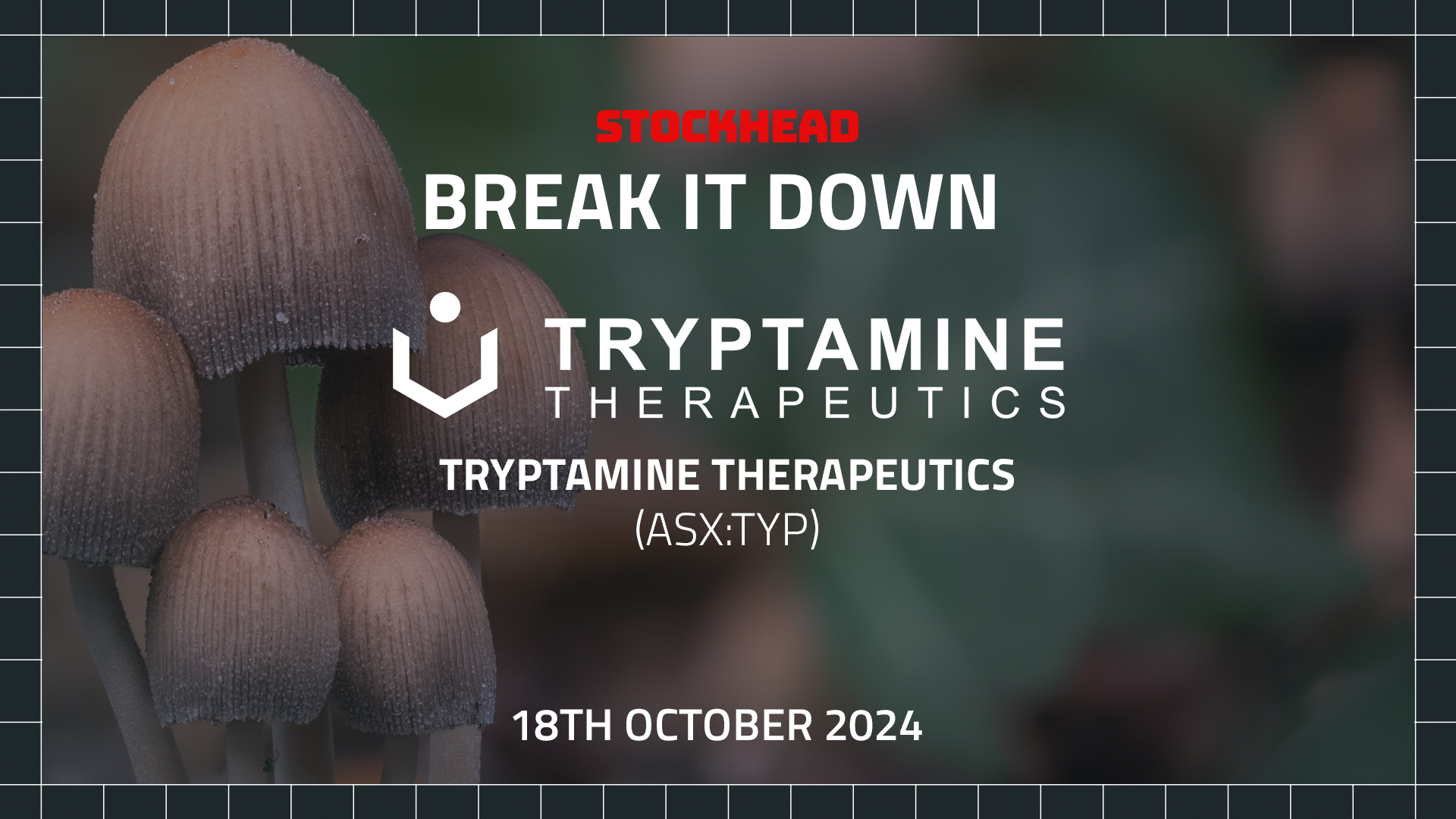 Break it Down: Tryptamine Therapeutics’ moves closer to IV-infused psilocybin treatment