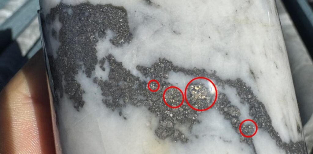 Core from Advance Metals Myrtleford project