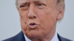 trump investing