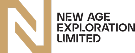 New Age Exploration – NAE logo