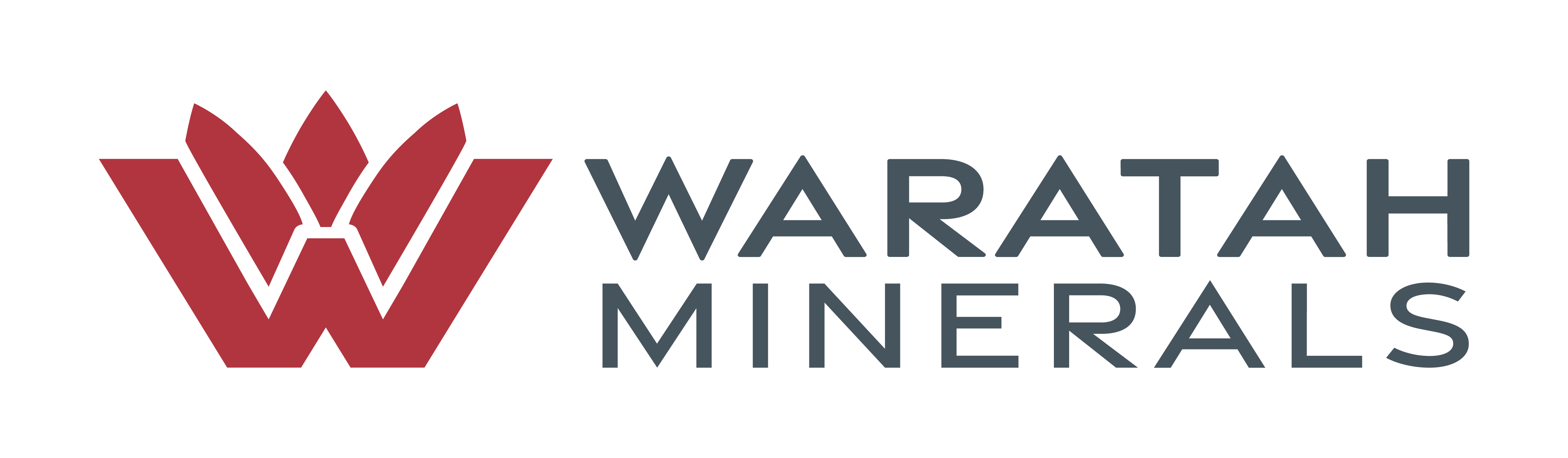 Waratah Minerals – WTM logo