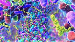 ASX microbiome