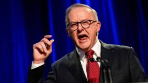 Time for Anthony Albanese to get serious on AI, say tech bosses